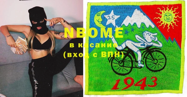гашик Алзамай