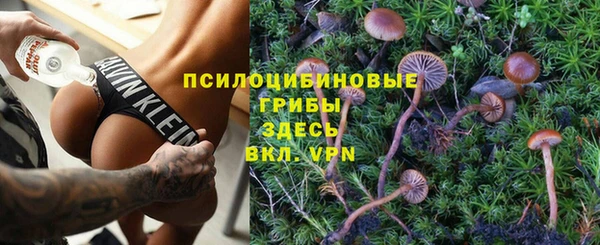молекула духа Алексин