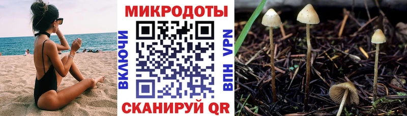 Псилоцибиновые грибы Magic Shrooms  кракен ССЫЛКА  Ростов 