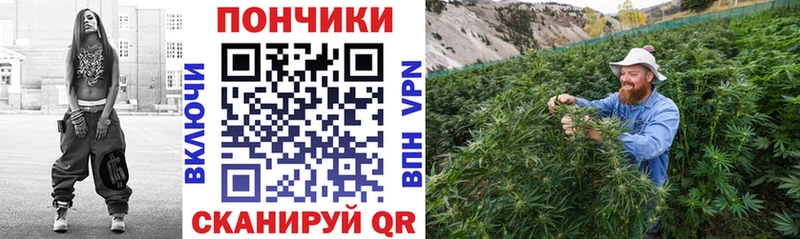 Бошки Шишки сатива  Ростов 
